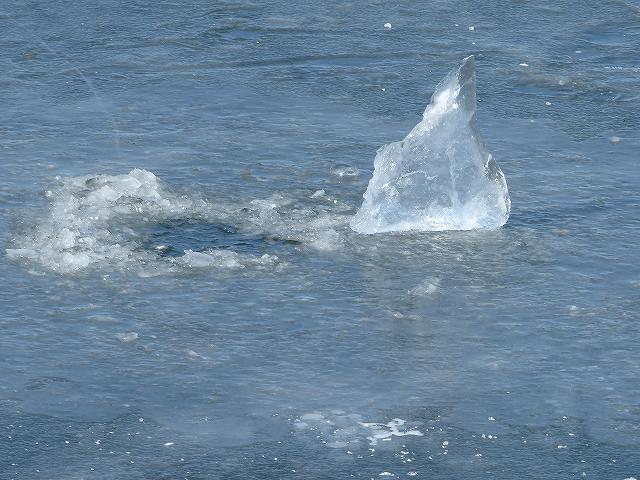 諏訪湖の氷の厚みの観察