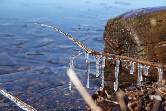 諏訪湖の岸辺の薄氷としぶき氷り