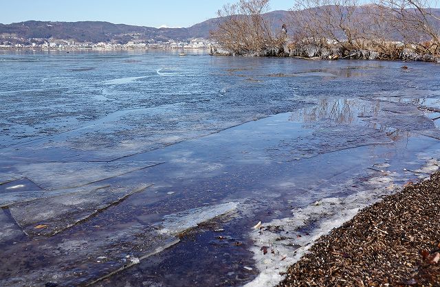 諏訪湖御神渡りの観察地点で岸辺が氷った様子です