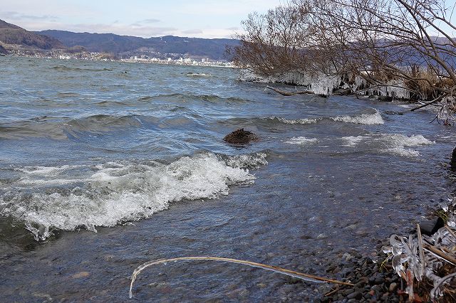 諏訪湖御神渡り観測場所が強風で諏訪湖は高波