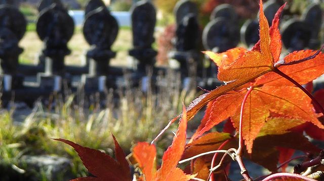 長圓寺の紅葉