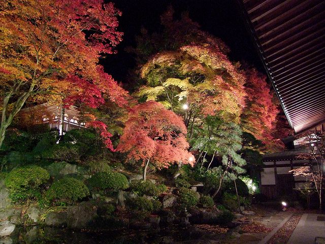 諏訪市温泉寺の紅葉