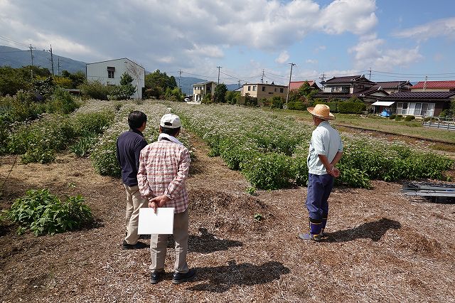 長野県諏訪市の飛来地アサギマダラの郷