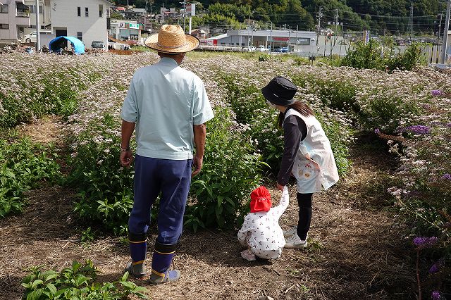 蝶が気に入った園児が２回目の訪問でした。