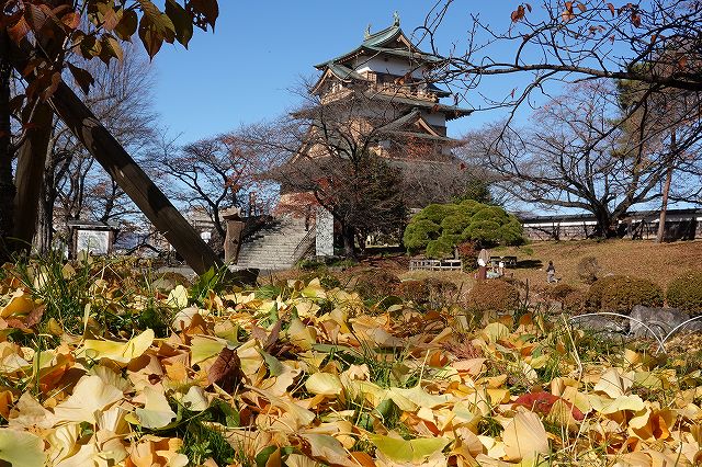 紅葉と高島城