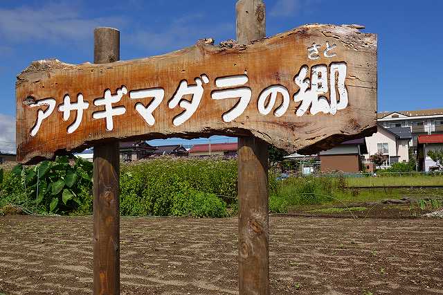 アサギマダラの郷（さと）諏訪市四賀普門寺地籍