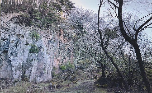 幕岩の春