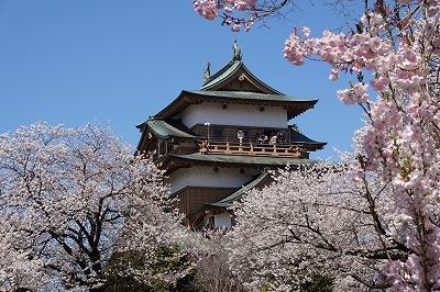 満開の高島城の桜