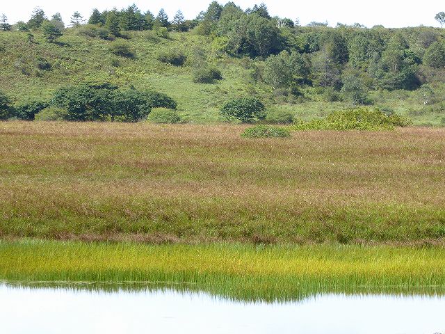 八島湿原