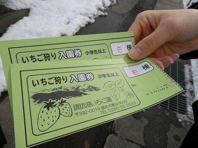 諏訪湖いちご狩り入園券