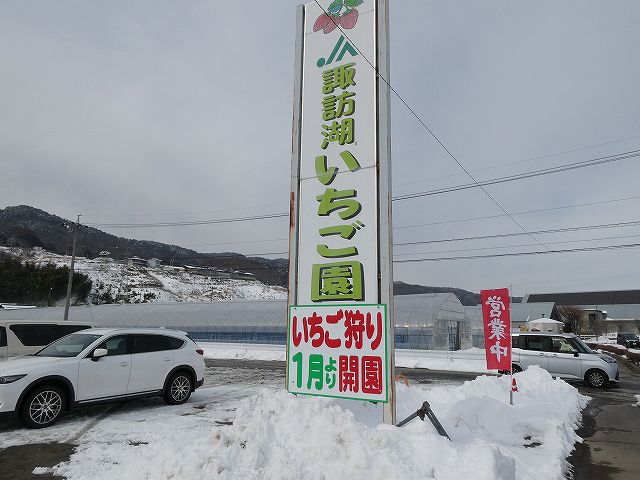 諏訪湖いちご園