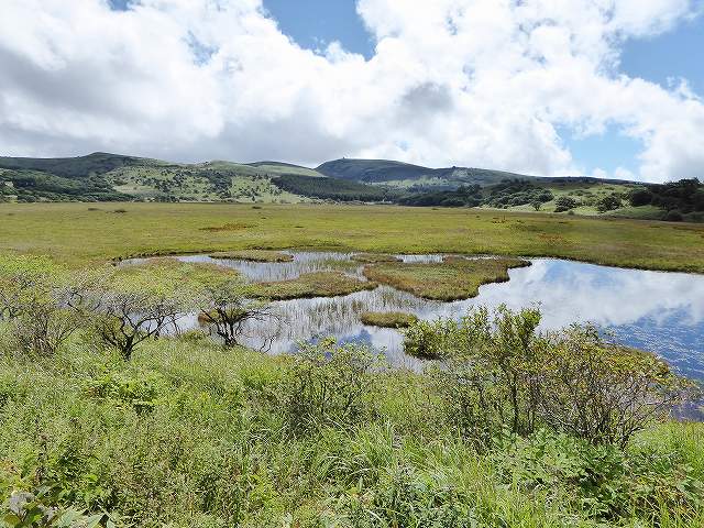 八島ヶ原湿原