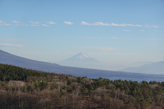 霧ヶ峰の見どころ