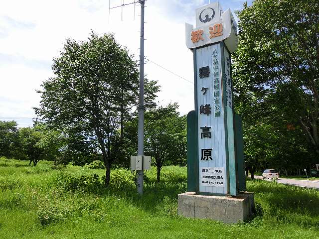 霧ヶ峰高原