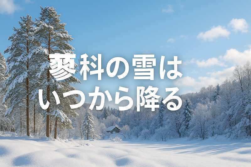 蓼科の雪はいつから