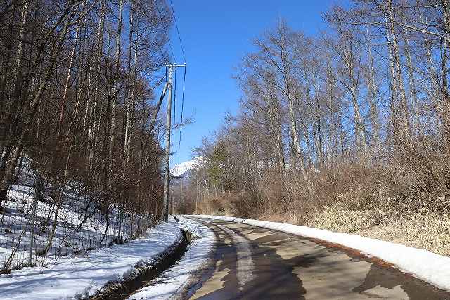 蓼科の雪道