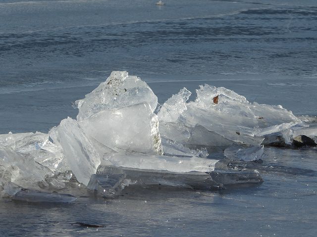 諏訪湖の御神渡り