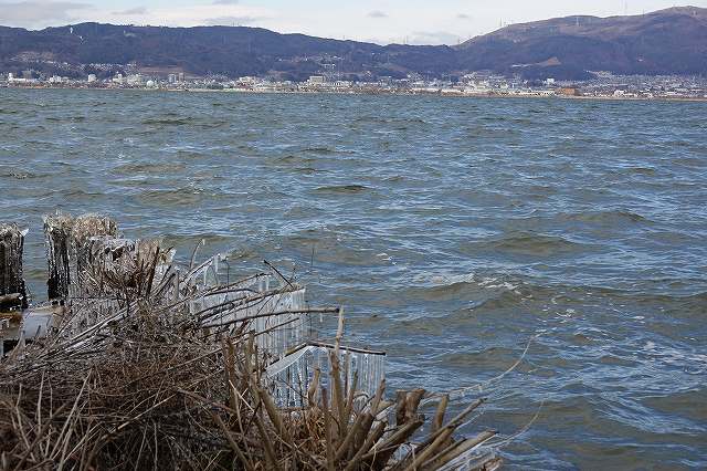 御神渡りは明けの海